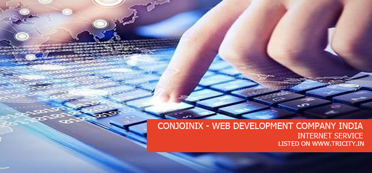 CONJOINIX - WEB DEVELOPMENT COMPANY INDIA