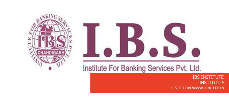 IBS INSTITUTE