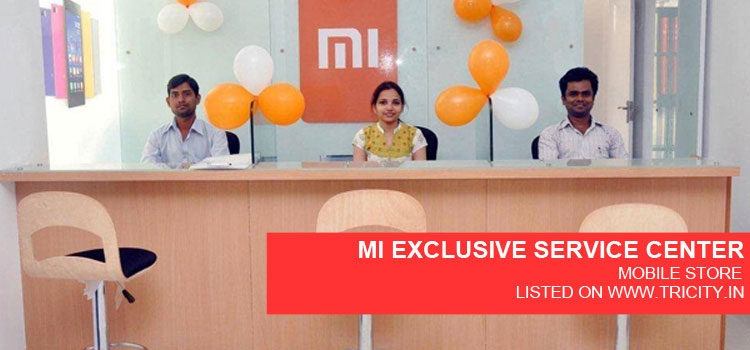 MI EXCLUSIVE SERVICE CENTER