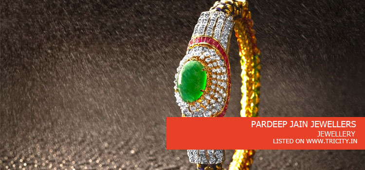 PARDEEP-JAIN-JEWELLERS
