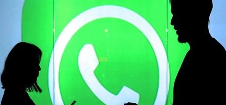 अब खतरनाक झुके पेड़ों की फोट खींच व्हाट्सऐप करो, सरकार कार्रवाई करेगी