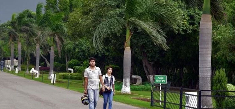 इन सड़कों पर लगे पेड़ों का खतरा ज्यादा