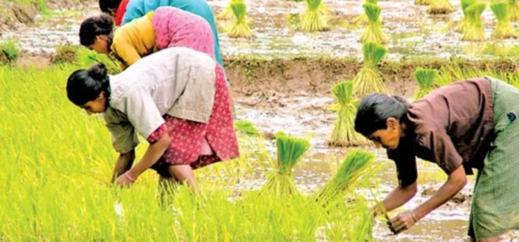 किसान-और-खेती-दोनों-को-नहीं-समझते