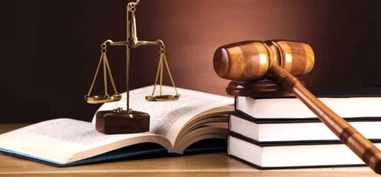 याचिकाकर्ता के वकील ने कुछ ऐसी दलीलें दीं