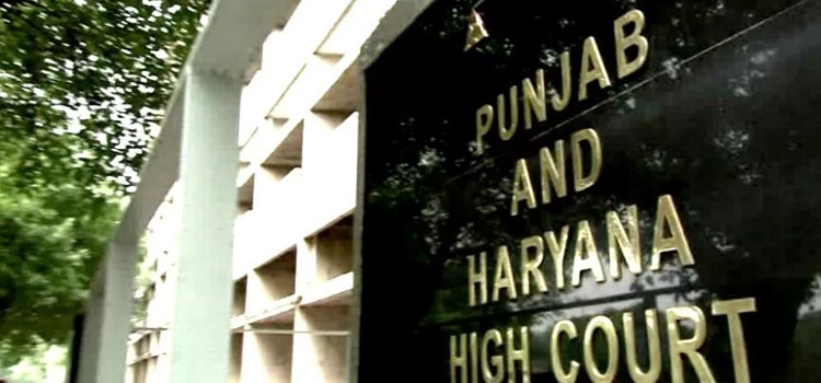 रेप पीड़िता को गर्भपात की अनुमति से हाईकोर्ट का इनकार