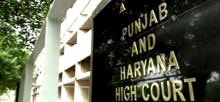 हाईकोर्ट को मिले 6 नए जज,