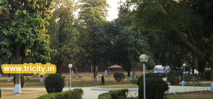 Children Traffic Park