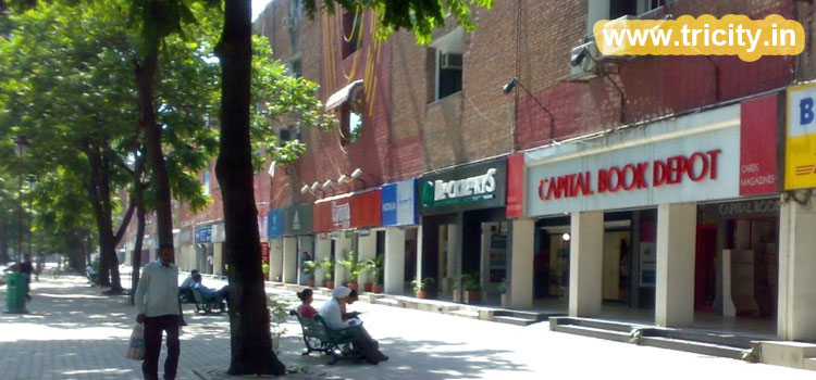 City Center, Sector 17 Plaza