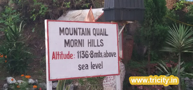 Morni Hills