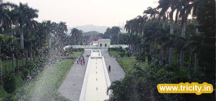 Yadavindra Gardens