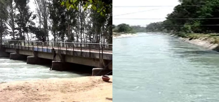पैसों के लिए गर्लफ्रैंड से झगड़ा, बालों से घसीटते हुए भाखड़ा नहर में फेंका
