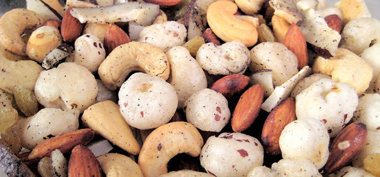 प्रोटीन और फाइबर से भरपूर ड्राई फ्रूट्स नमकीन, नवरात्रि व्रत के लिए खास. Recipes