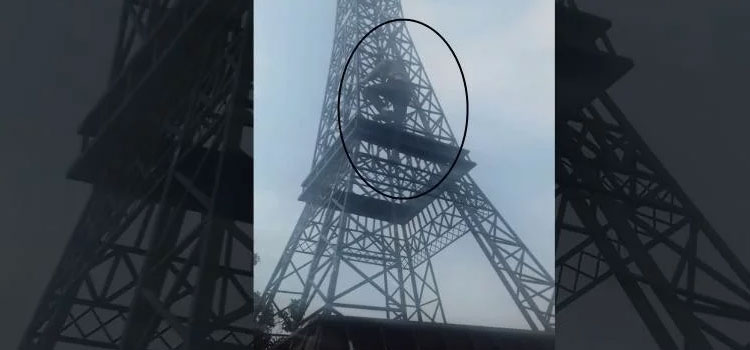 हरियाणा के छोरे एफिल टावर पर चढ़े