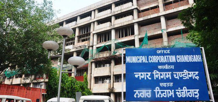 Municipal Corporation removes filth from parks
