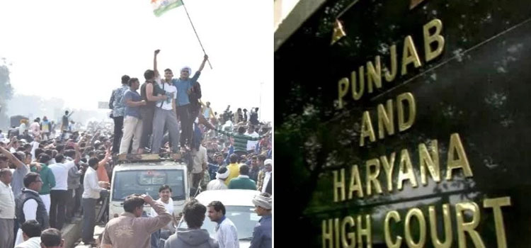 हरियाणा में जाट समेत 6 जातियों के आरक्षण पर जारी रहेगी रोक