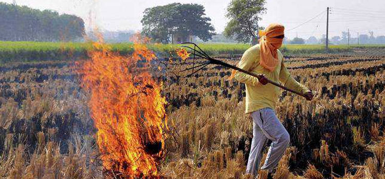 NGT-notice-to-Centre-over-aid-to-state