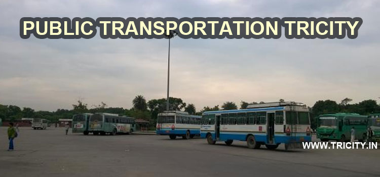 PUBLIC TRANSPORTATION TRICITY