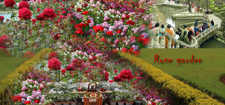 Rose Garden Chandigarh