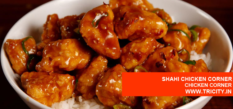 SHAHI CHICKEN CORNER