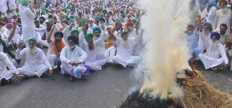 The Agriculture Department will also update the tribunal on action