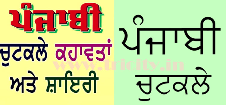 Punjabi joke images,,