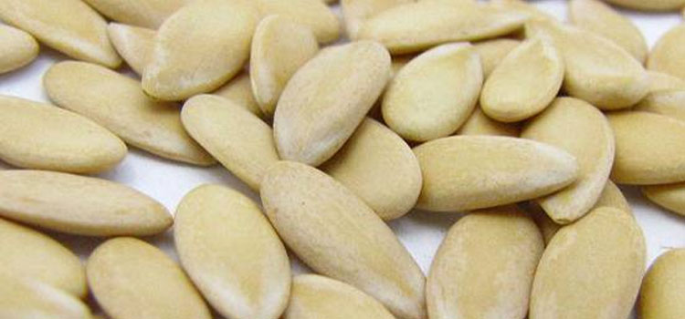 खरबूजे के बीज के 6 फायदे, क्या जानते हैं आप