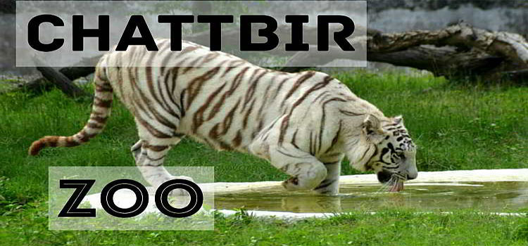 images of chhatbir zoo, chhatbir zoo chandigarh, amazing images of chhatbir zoo, photos of chhatbir zoo chandigarh