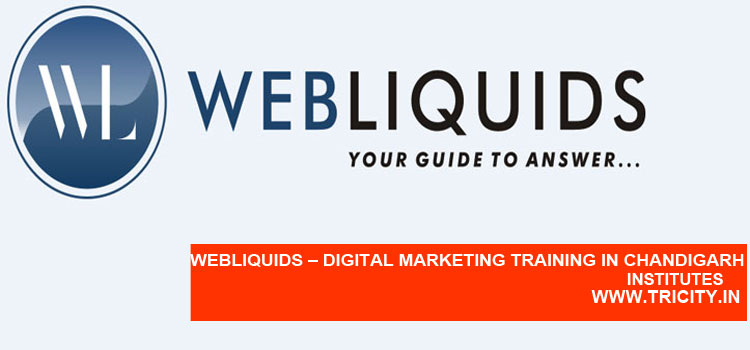 WEBLIQUIDS – DIGITAL MARKETING TRAINING IN CHANDIGARH