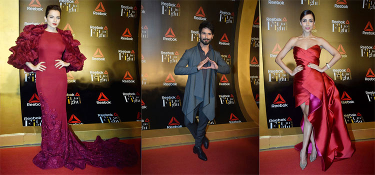 Fit To Fight Awards 2017