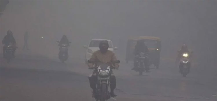 Click here to more informations