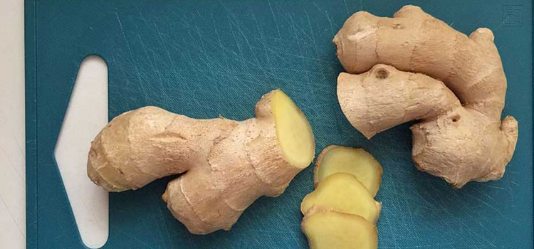 Ginger