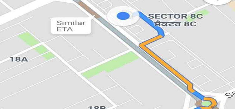 Google Map