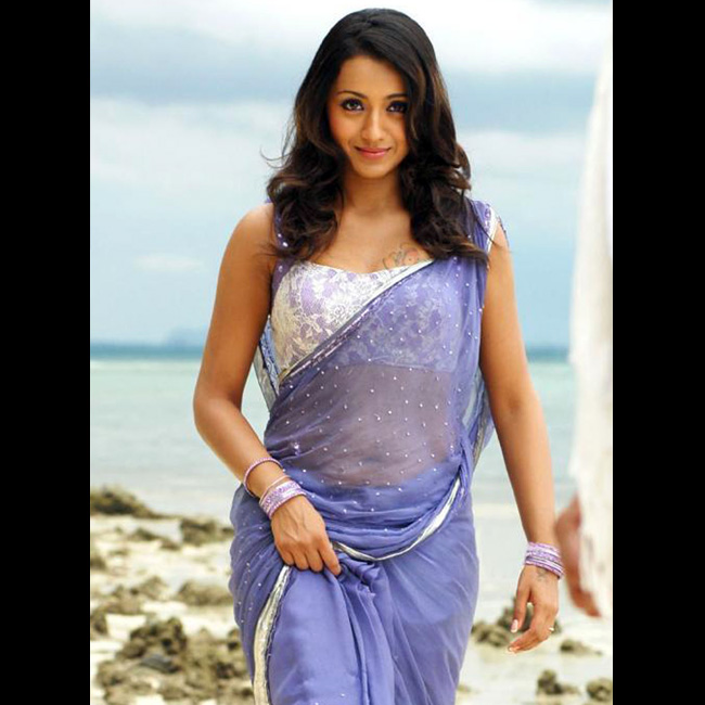 Gorgeous Trisha Krishnan Hot And Sexy Unseen Photos 