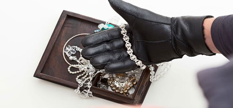 Chandigarh Jewellery Thieves