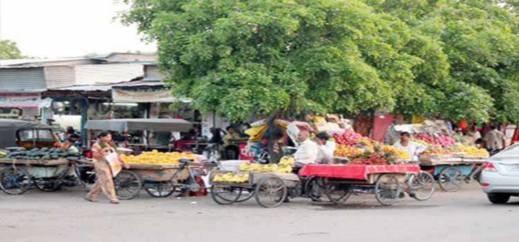 Chandigarh vendors