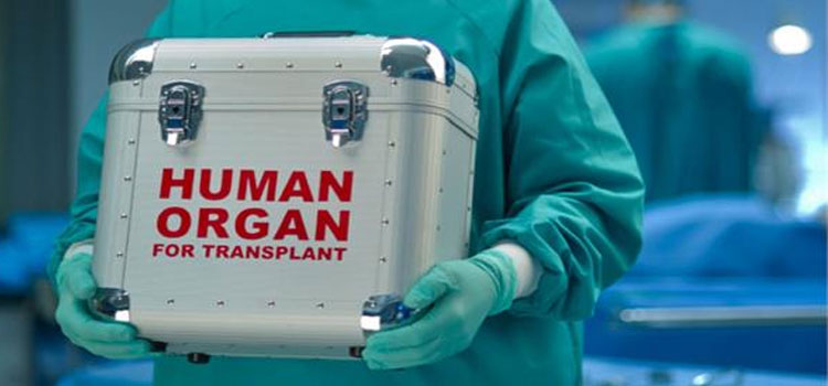 Organ Transplant
