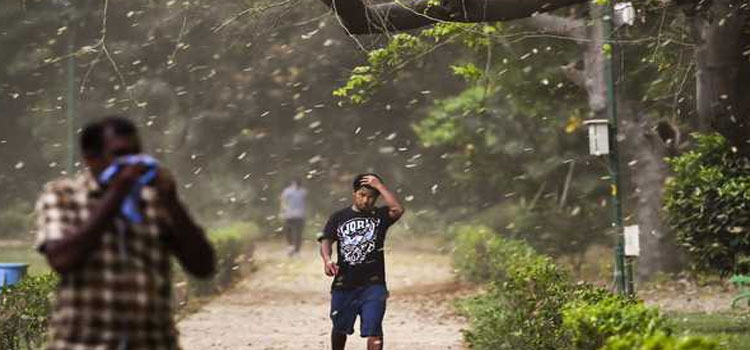Storm Alert Chandigarh