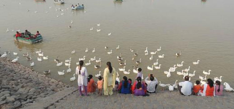 Sukhna Lake