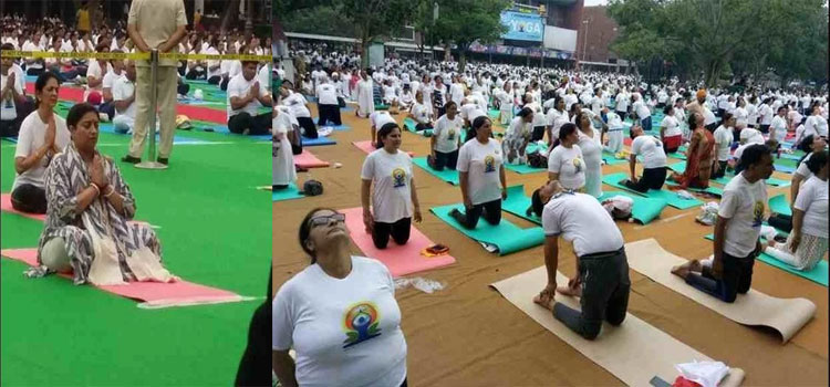 Yoga Day