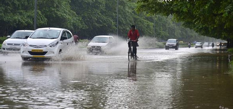 Water On The Roads After Rain