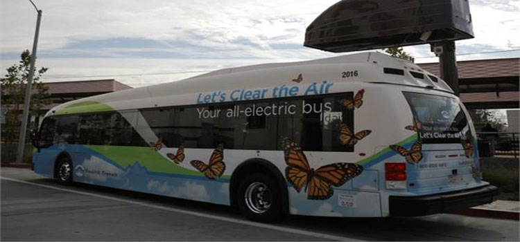 Electric Bus