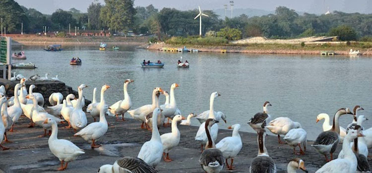 Sukhna Lake