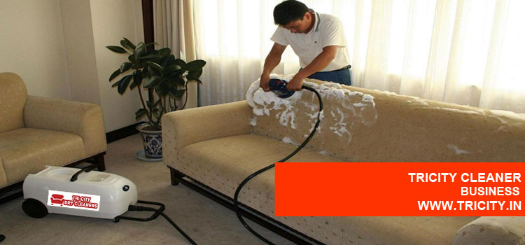 Tricity Cleaner