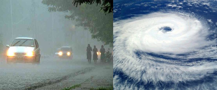 Cyclone Hurricane Butterfly