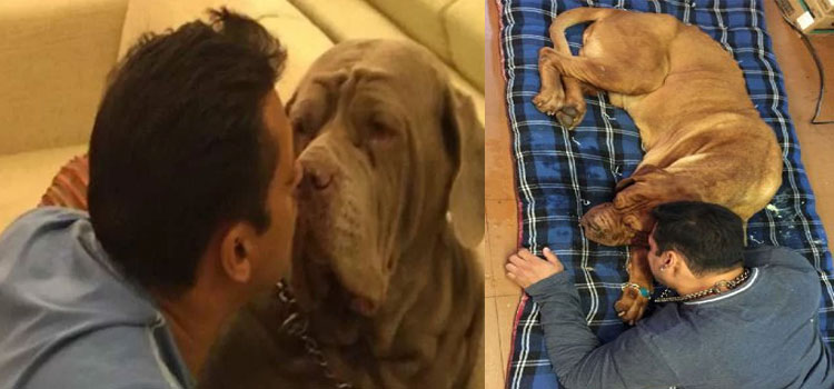 Salman Khan's Pet