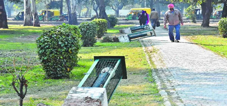 Nagar Nigam Chandigarh