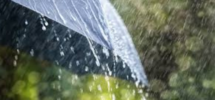 Rainfall In Chandigarh