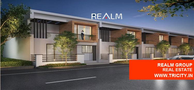 Realm Group