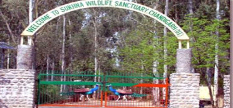 Sukhna Wildlife Sanctuary