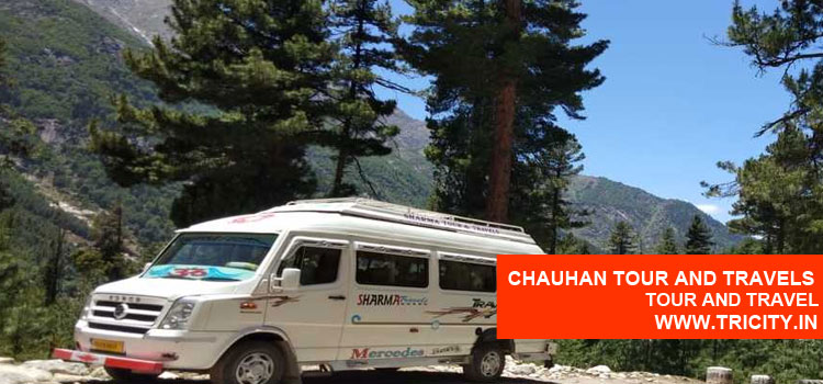 Chauhan Tour and Travels